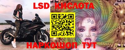 Альфа ПВП Будённовск