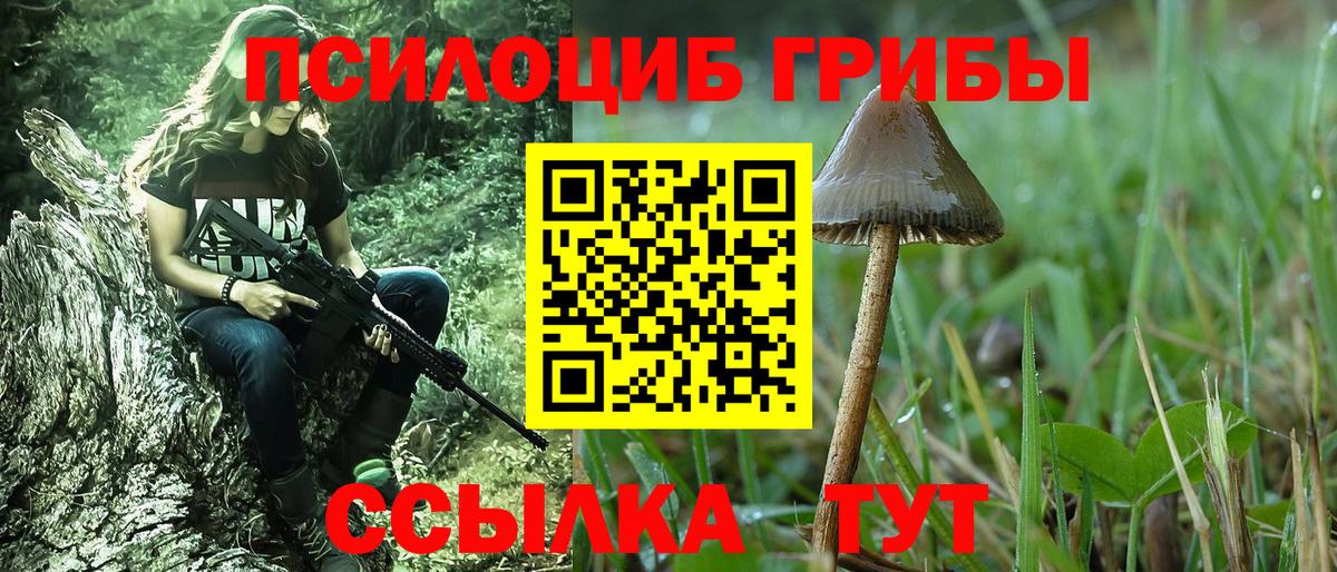 Курчатов  Галлюциногенные грибы Magic Shrooms  Вход с VPN 
