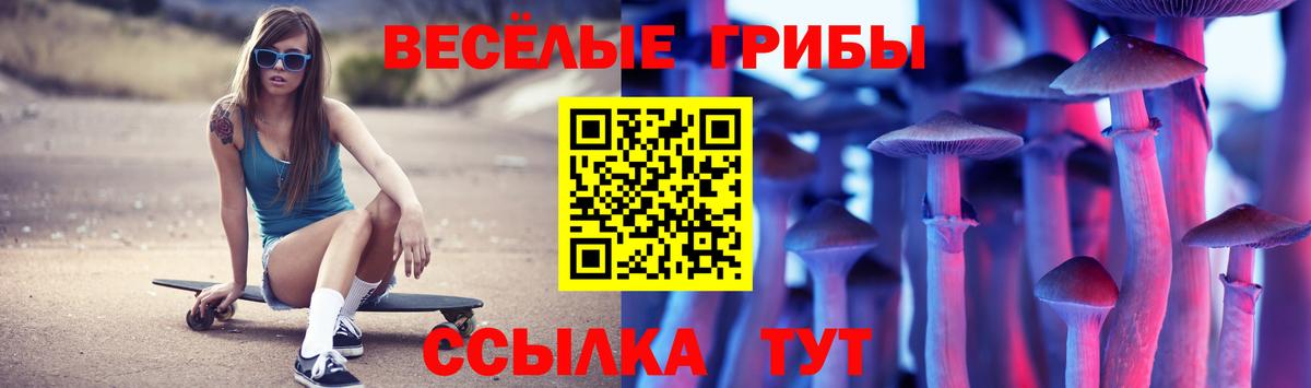 Галлюциногенные грибы прущие грибы Курчатов