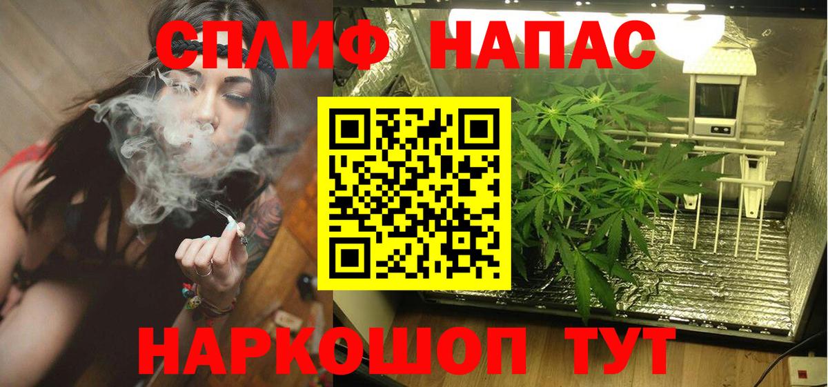 Курчатов  Шишки марихуана Amnesia  Вход с VPN  Марихуана VHQ  МАРИХУАНА THC 21% 